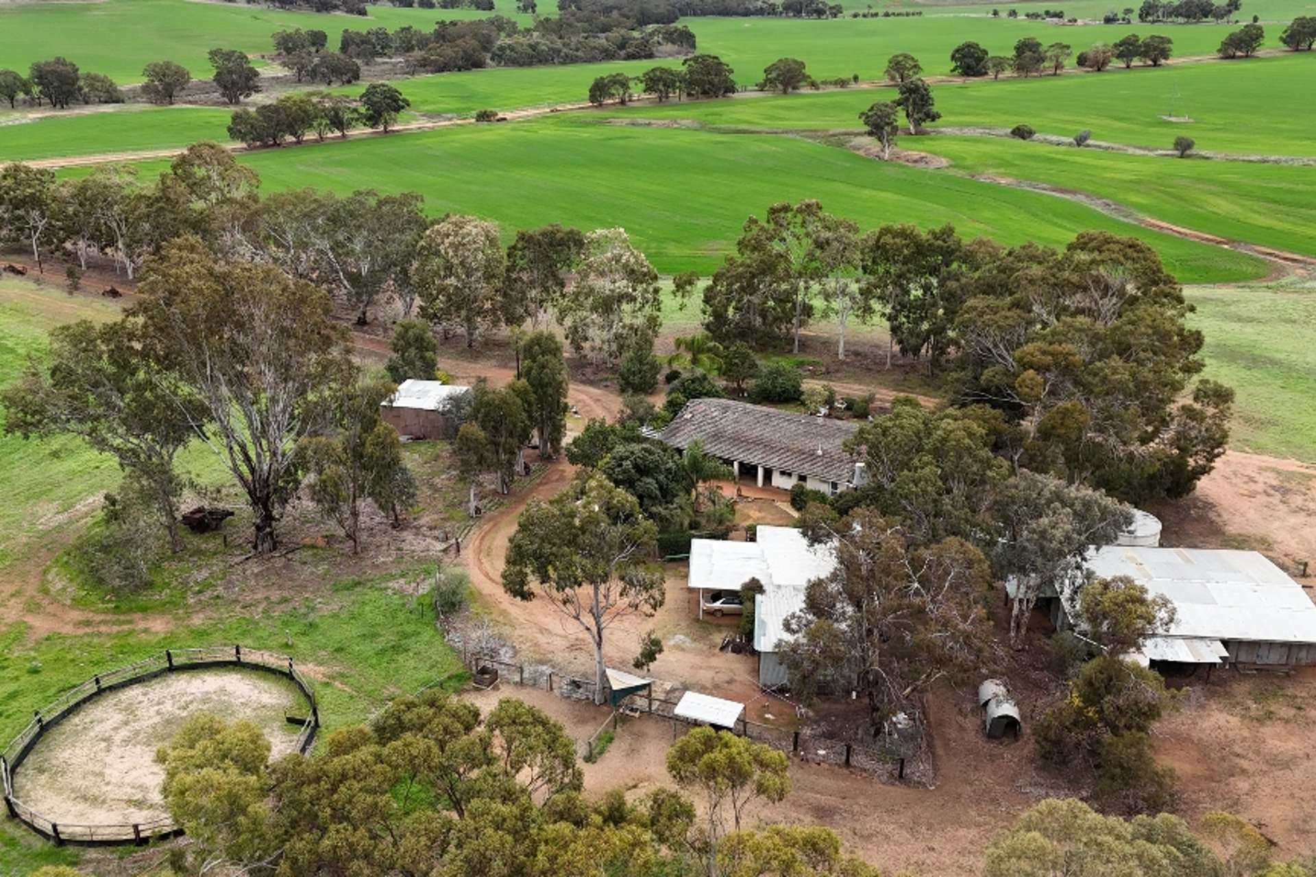 278 Mayanarra Road, York Sold by Farmbuy.com - image 19
