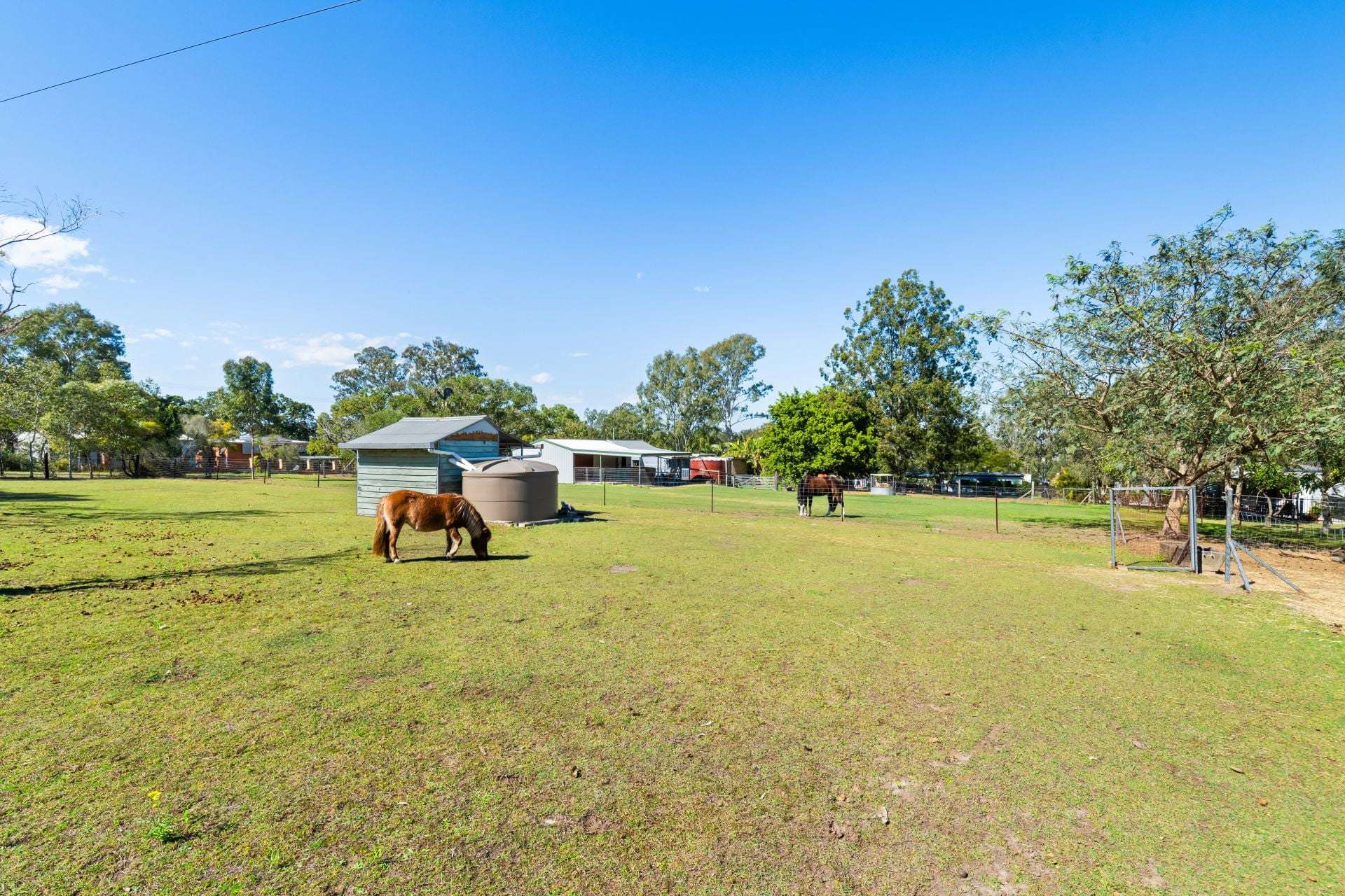 14 Coal Road, Chuwar For Sale by Farmbuy.com - image 13