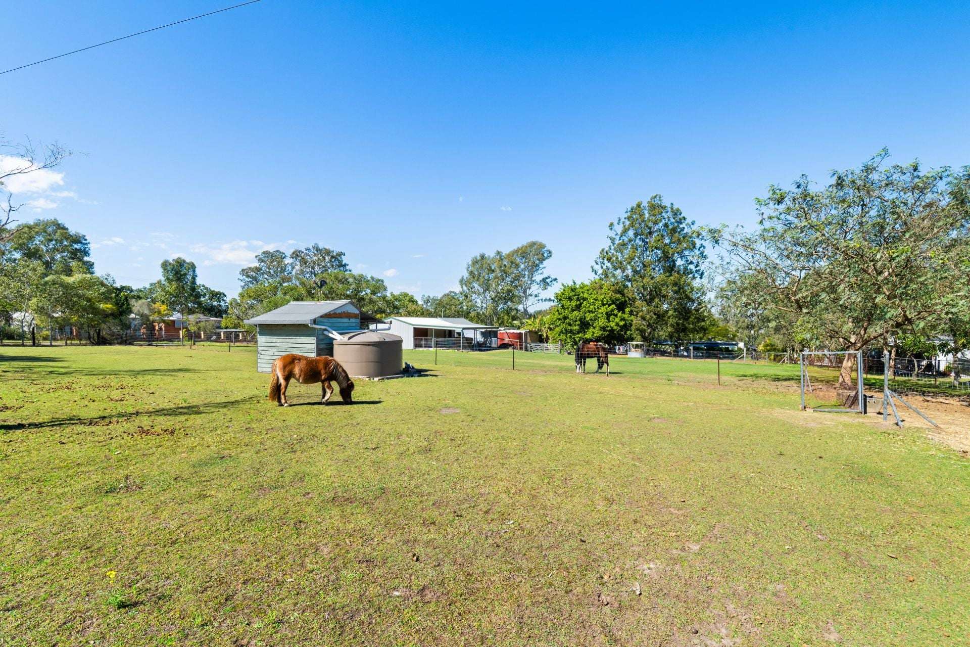 14 Coal Road, Chuwar For Sale by Farmbuy.com - image 22