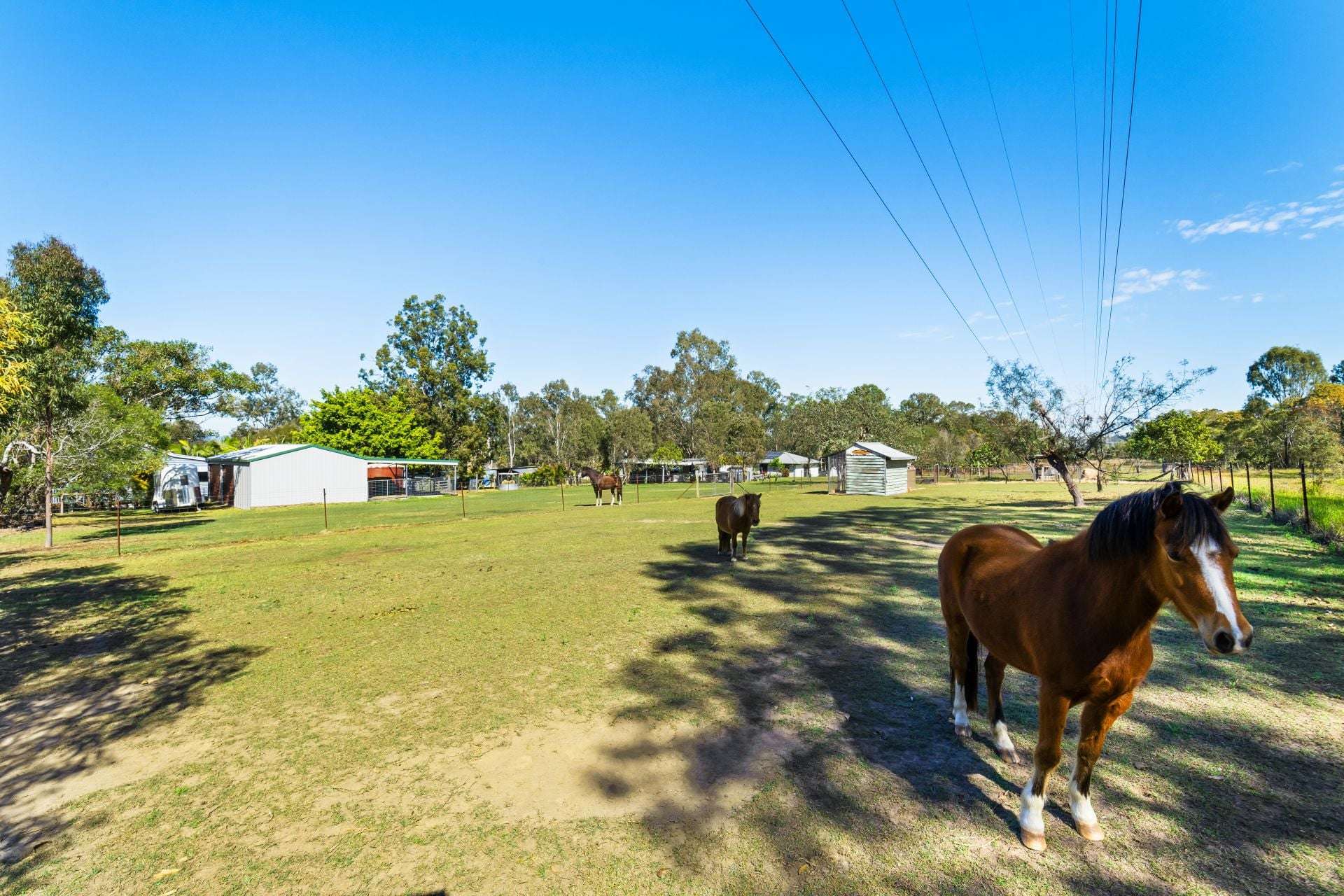 14 Coal Road, Chuwar For Sale by Farmbuy.com - image 20