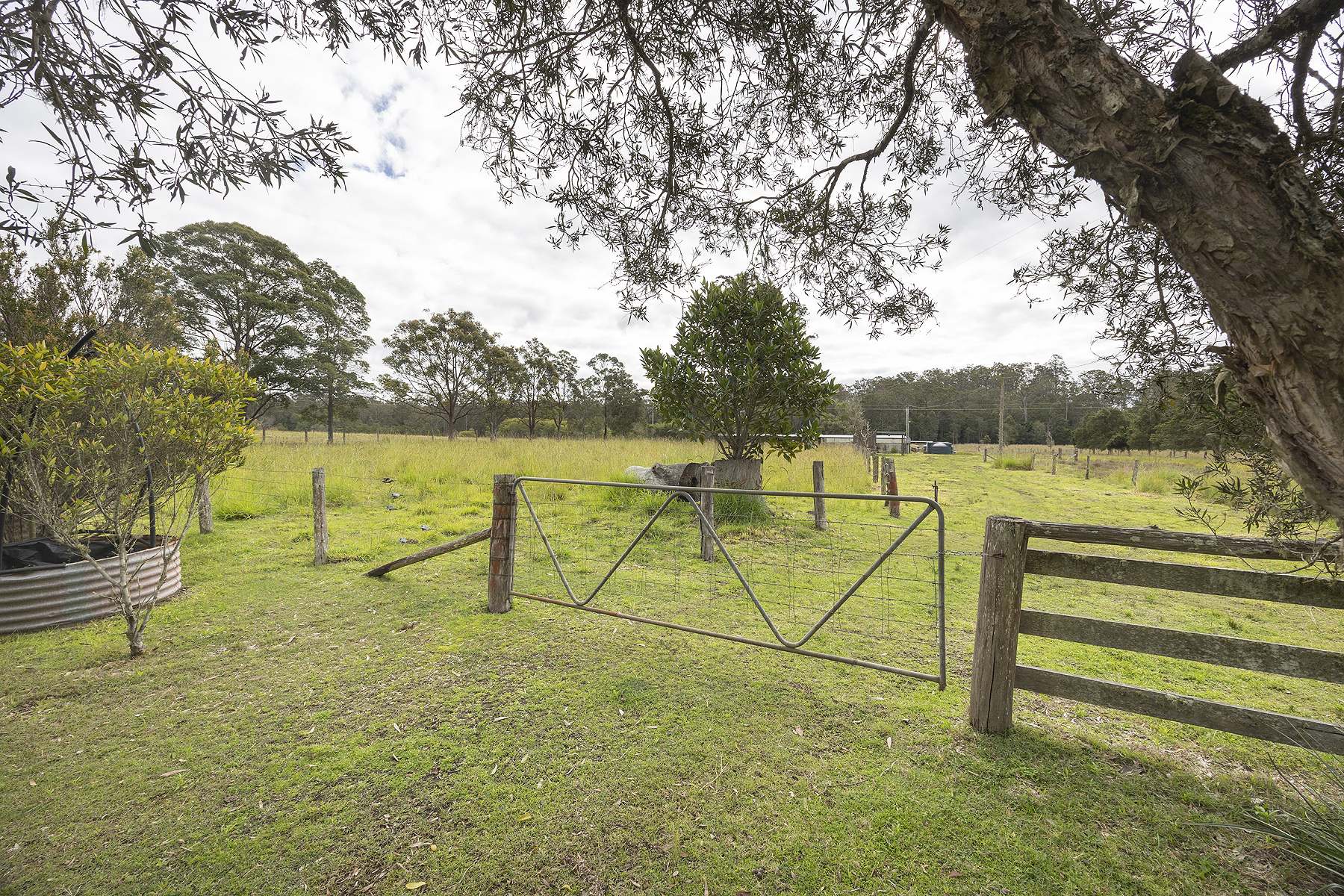 294 Wang Wauk Road, Wang Wauk For Sale by Farmbuy.com - image 15