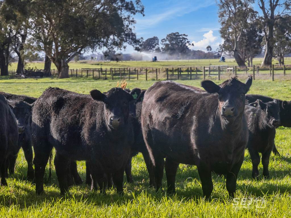 596 Settlement Road, Kilmany VIC 3851