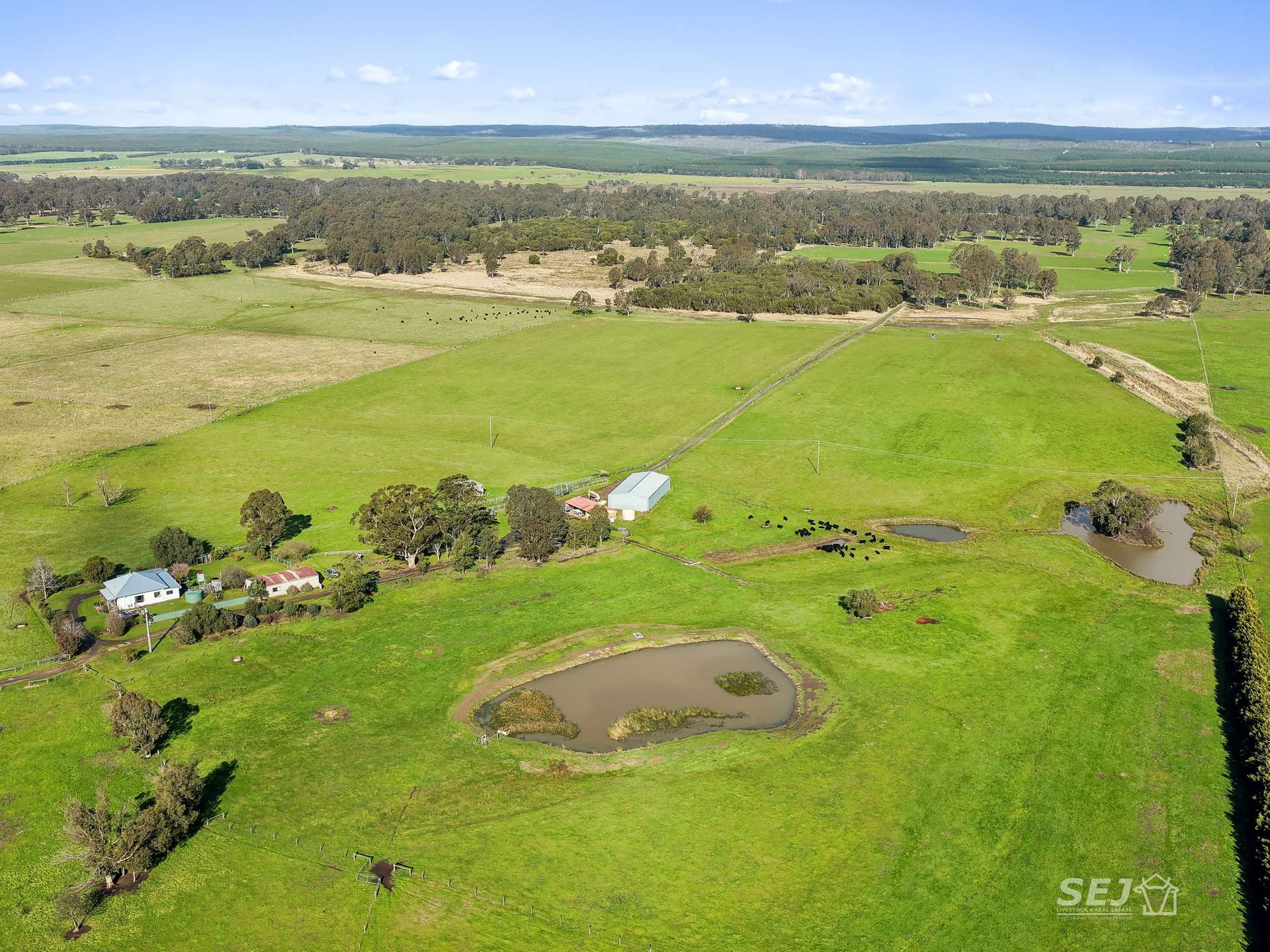 596 Settlement Road, Kilmany For Sale by Farmbuy.com - image 4