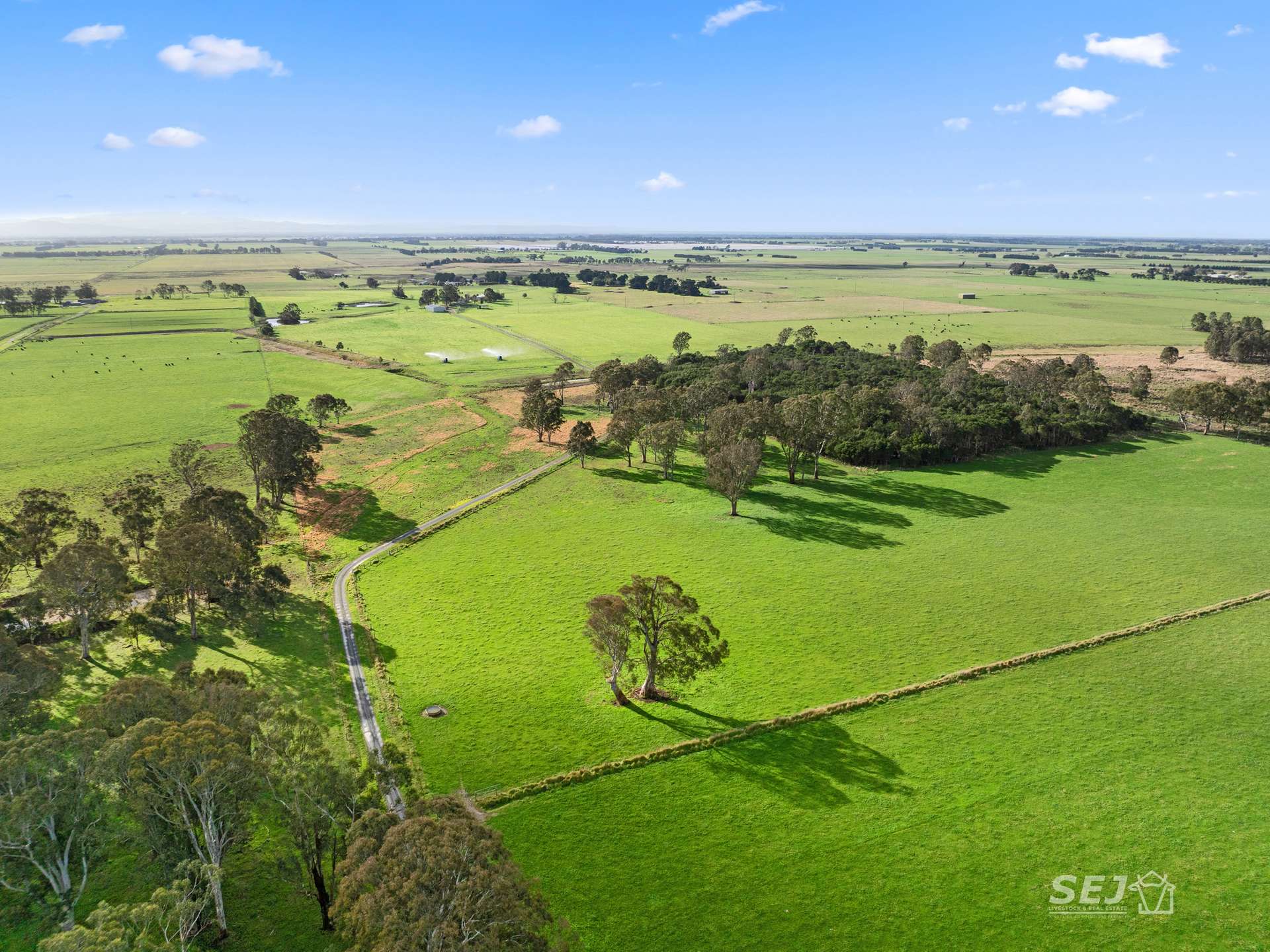 596 Settlement Road, Kilmany For Sale by Farmbuy.com - image 3