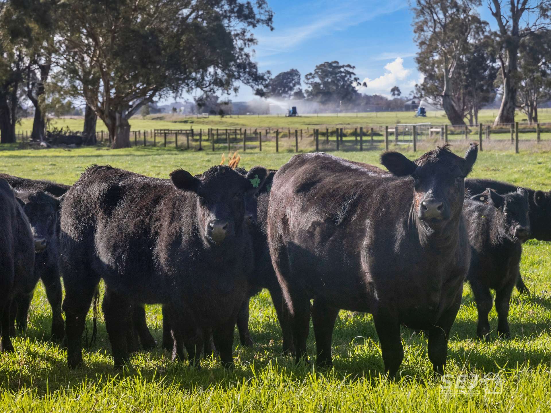 596 Settlement Road, Kilmany For Sale by Farmbuy.com - image 1