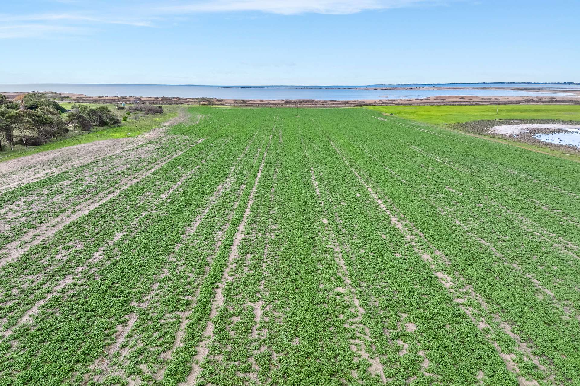655 Clayton-Milang Road, Milang For Sale by Farmbuy.com - image 31