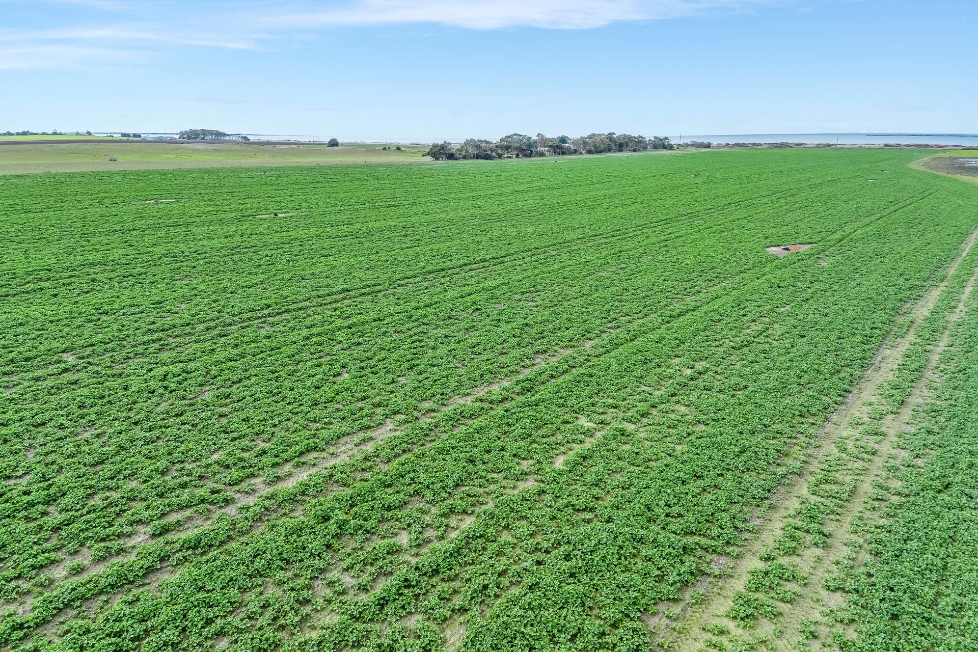 655 Clayton-Milang Road, Milang For Sale by Farmbuy.com - image 33