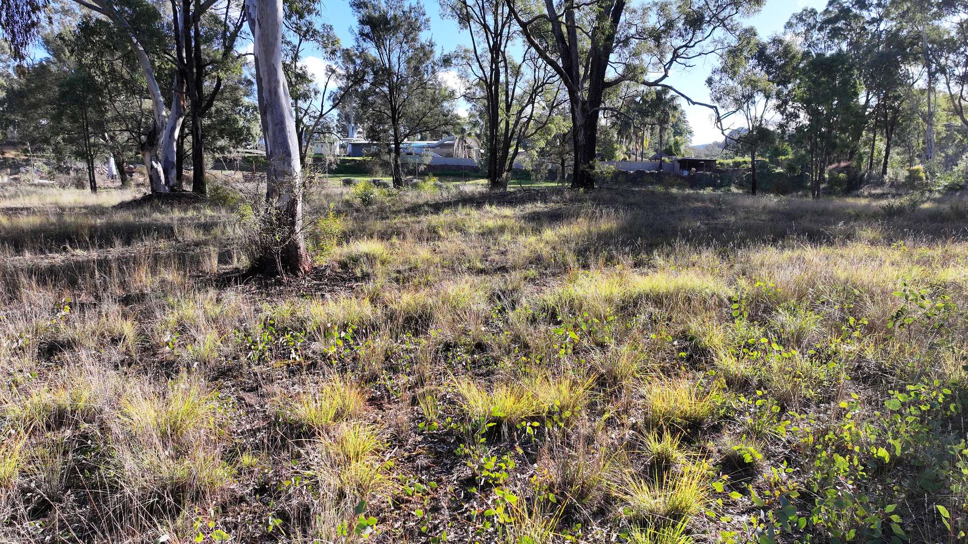 871 Timor Road, Coonabarabran For Sale by Farmbuy.com - image 13