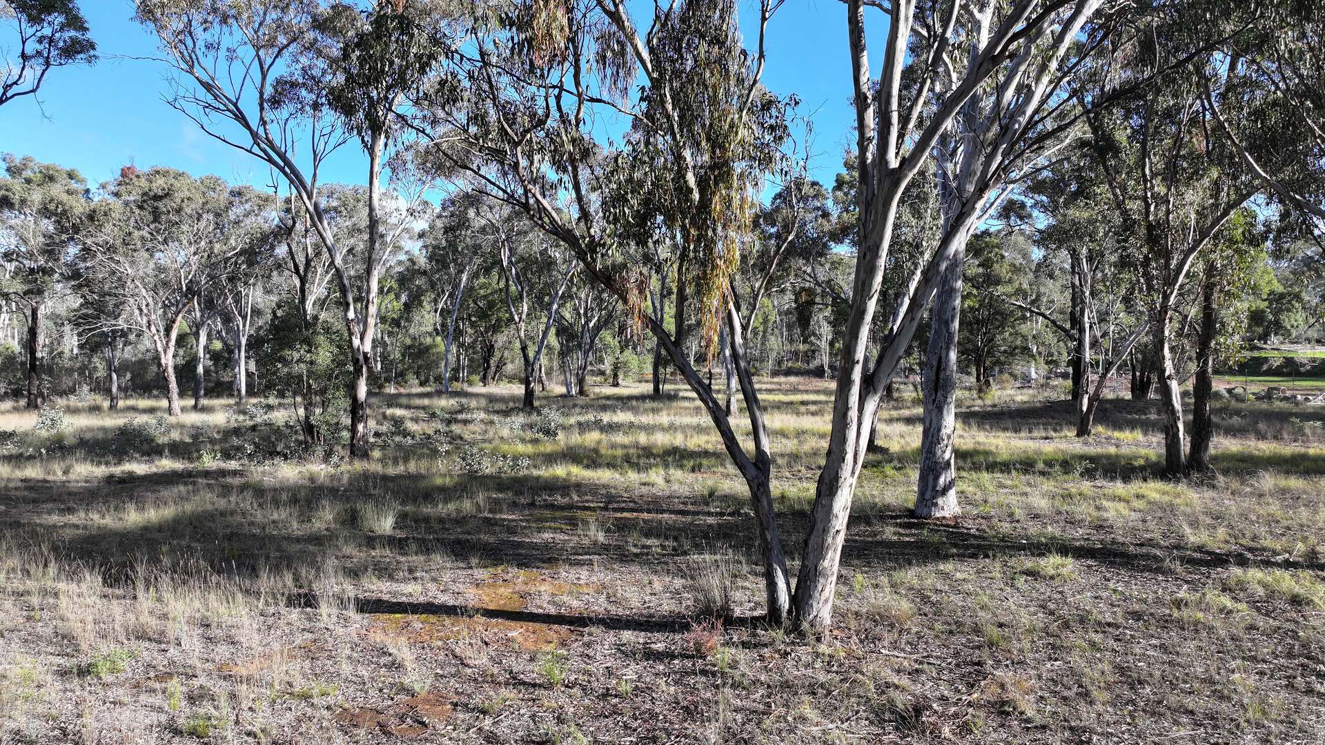 871 Timor Road, Coonabarabran For Sale by Farmbuy.com - image 2