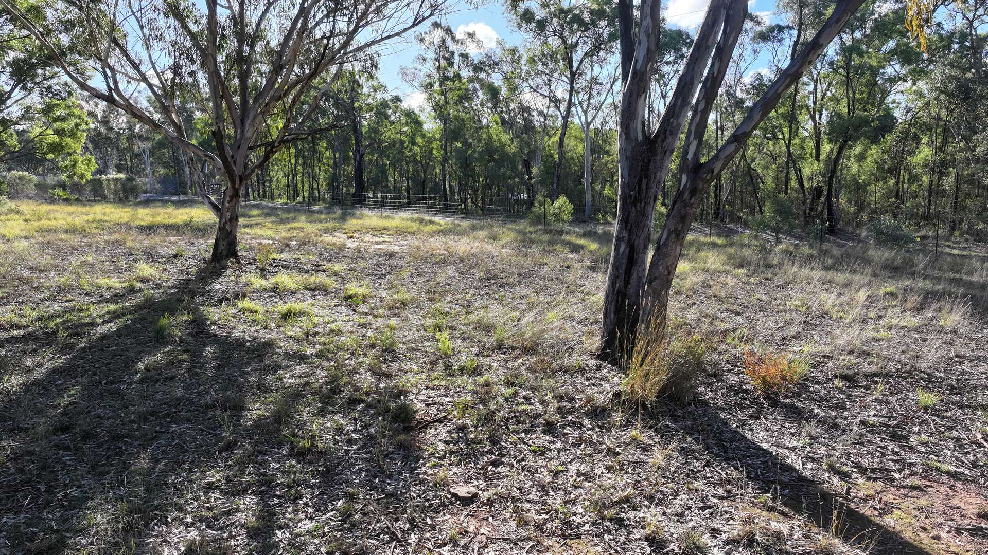 871 Timor Road, Coonabarabran For Sale by Farmbuy.com - image 7