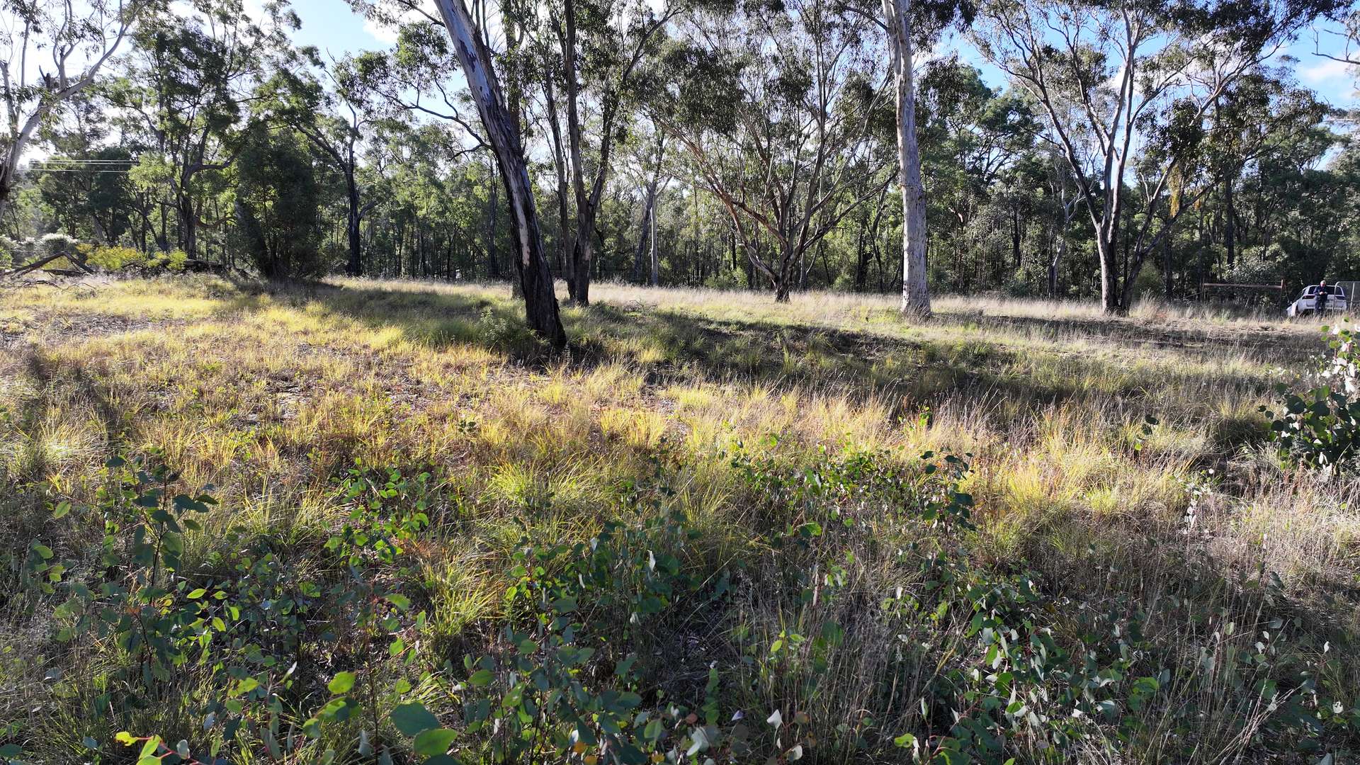 871 Timor Road, Coonabarabran For Sale by Farmbuy.com - image 12