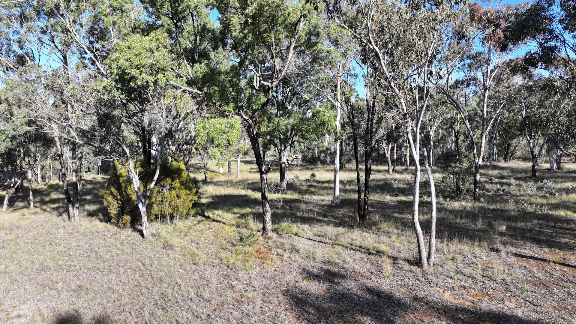 871 Timor Road, Coonabarabran For Sale by Farmbuy.com - image 3