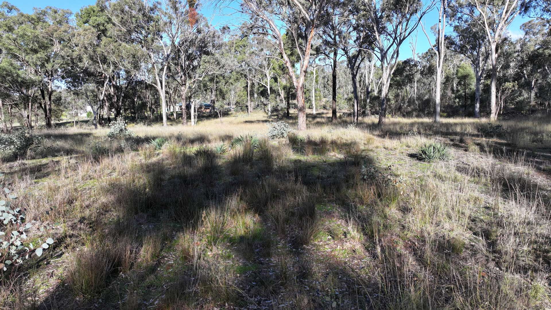 871 Timor Road, Coonabarabran For Sale by Farmbuy.com - image 10