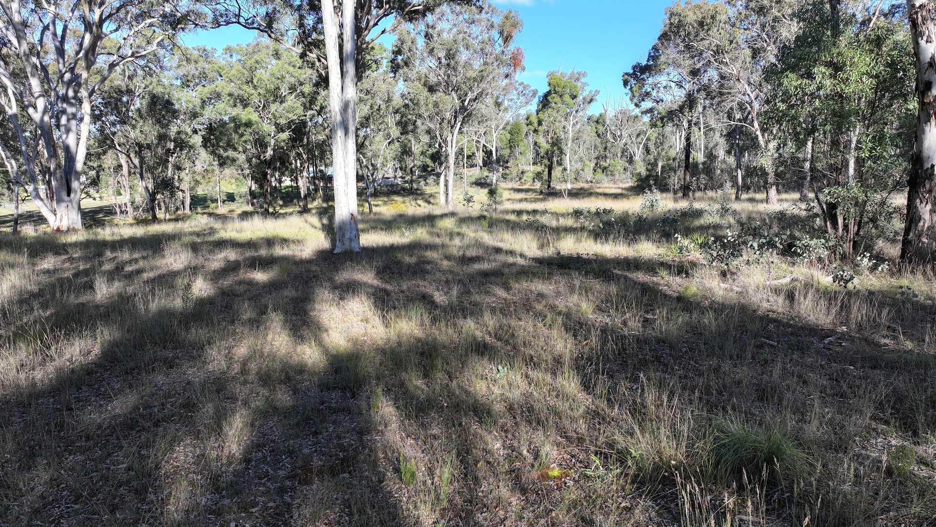 871 Timor Road, Coonabarabran For Sale by Farmbuy.com - image 5