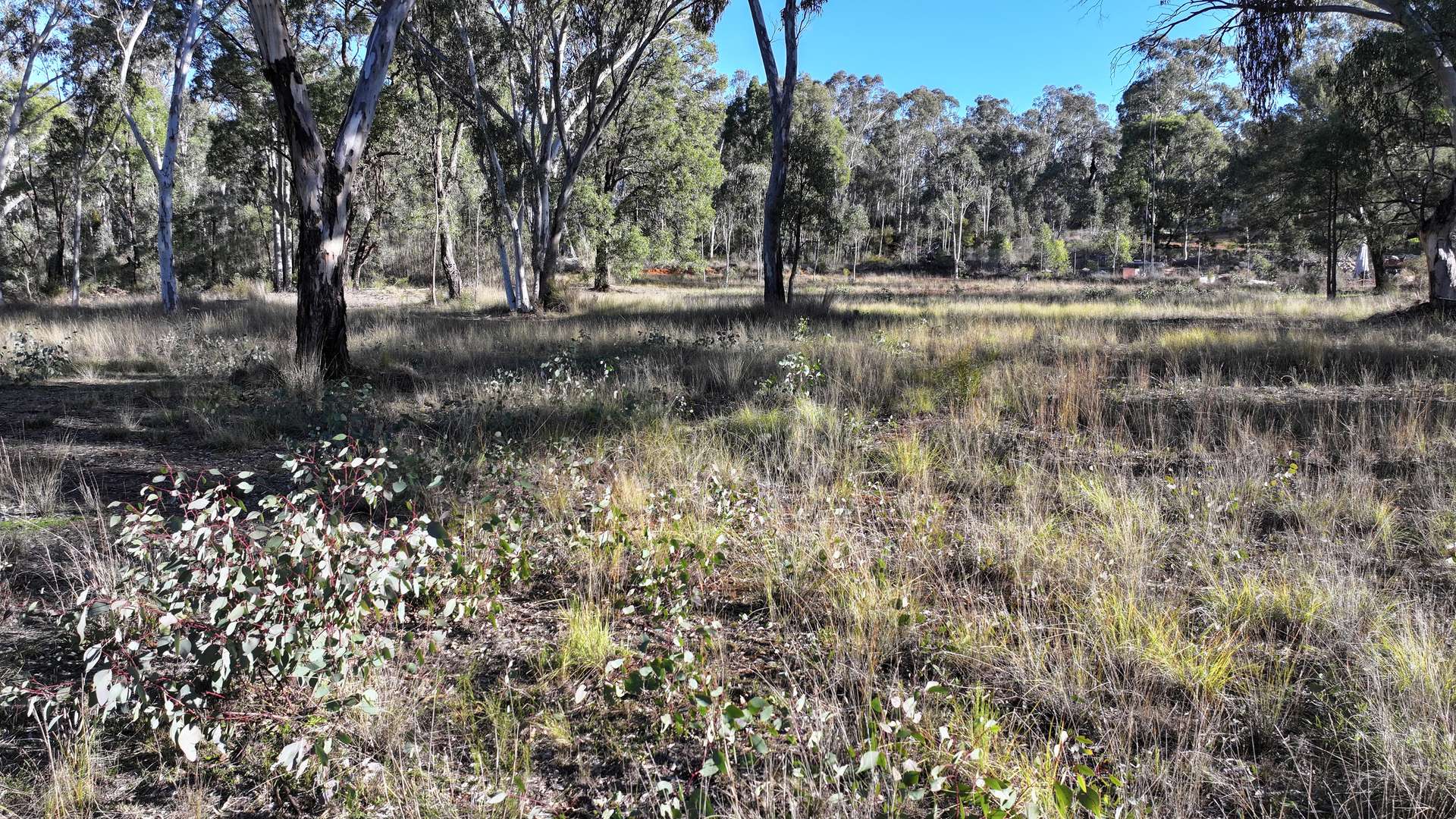 871 Timor Road, Coonabarabran For Sale by Farmbuy.com - image 9