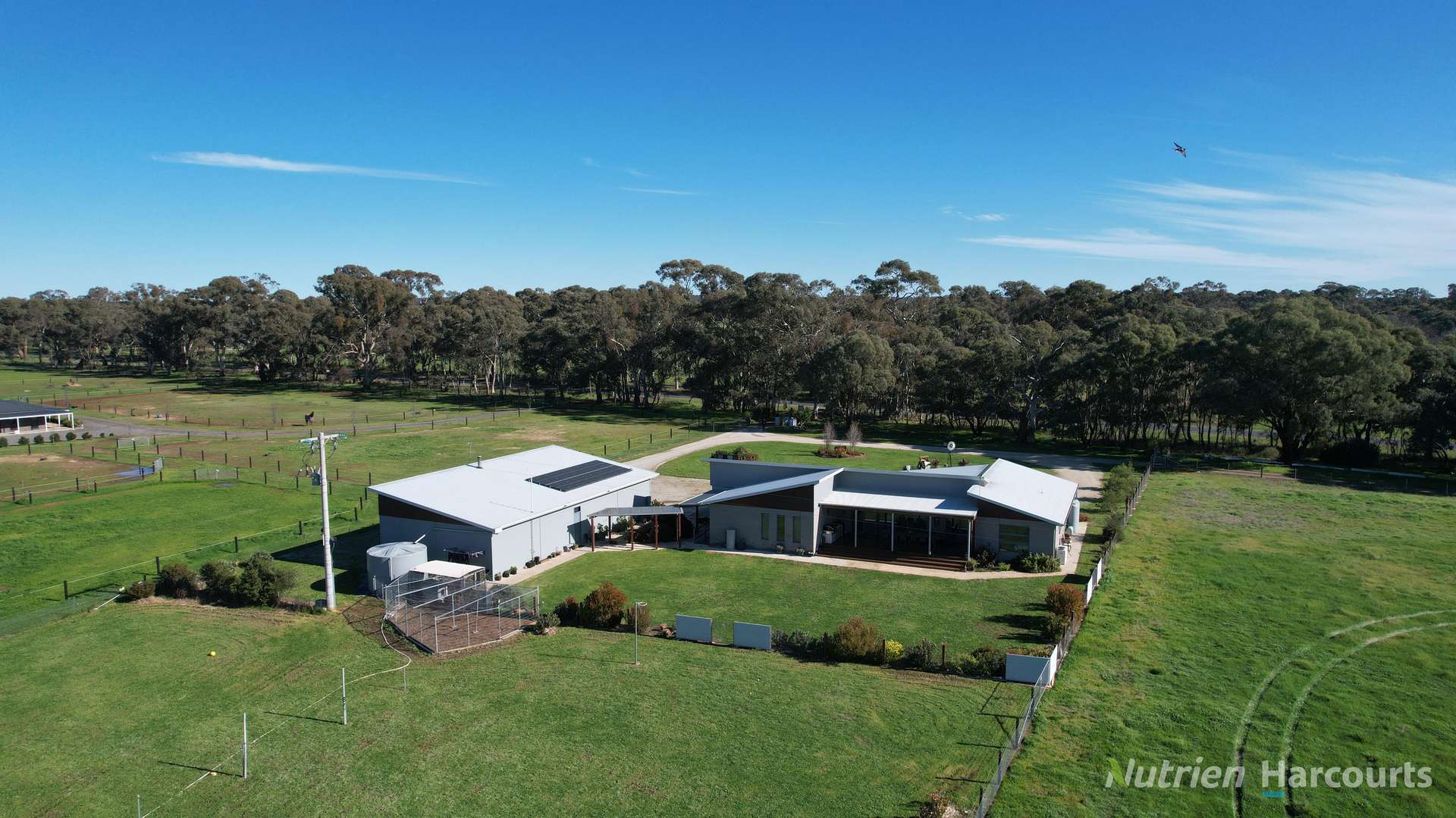 175 Landrigan Road, Carisbrook For Sale by Farmbuy.com - image 2