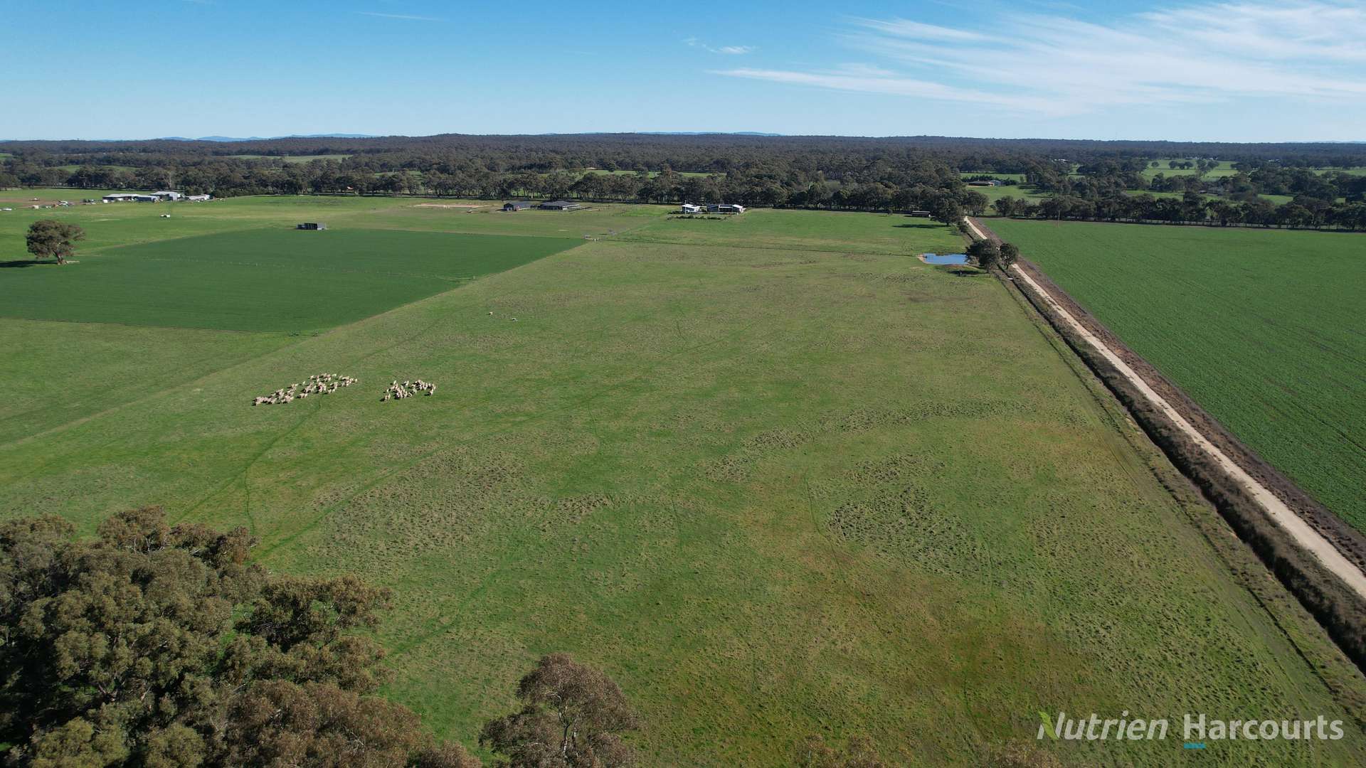 175 Landrigan Road, Carisbrook For Sale by Farmbuy.com - image 5
