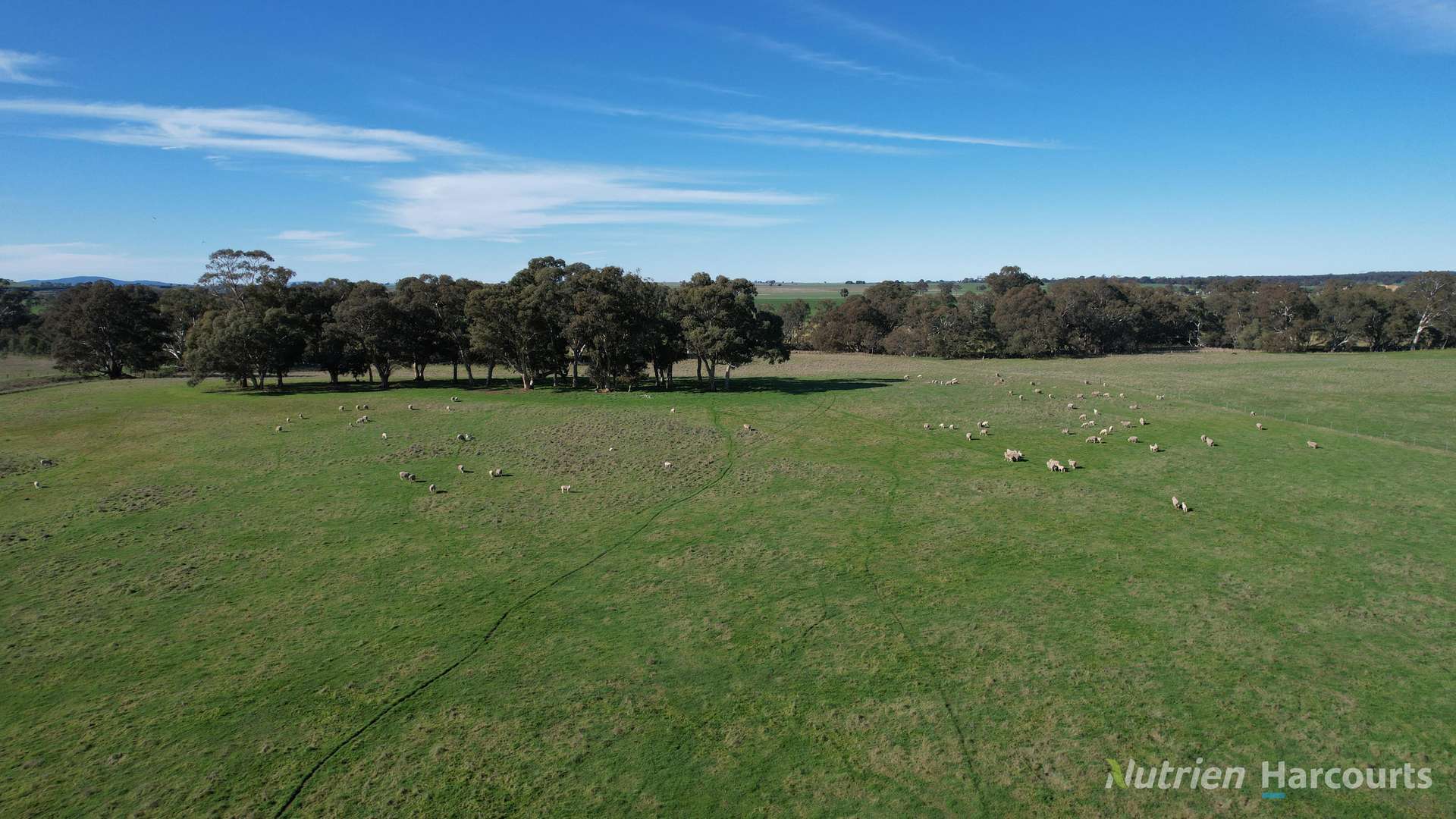 175 Landrigan Road, Carisbrook For Sale by Farmbuy.com - image 3