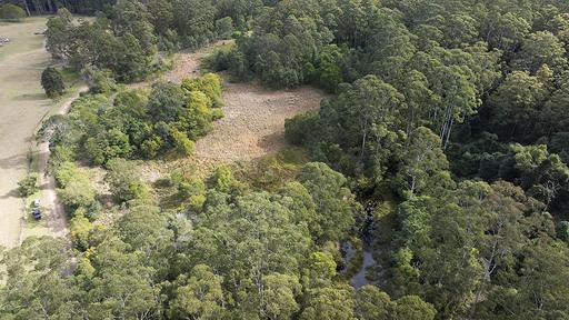 Farm For Sale - NSW - Coolongolook - 2423 - Bushland Escape 