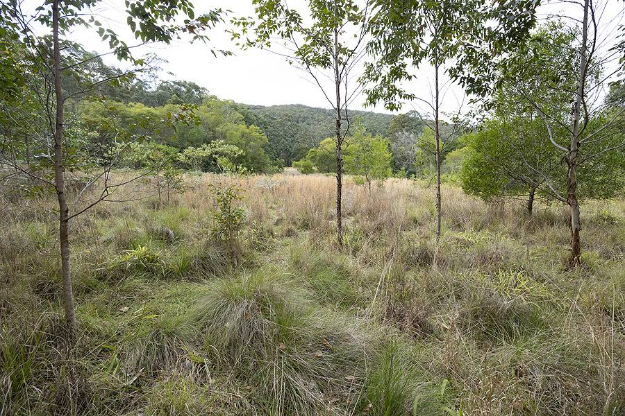 242 Curreeki Creek Road, Coolongolook For Sale by Farmbuy.com - image 7