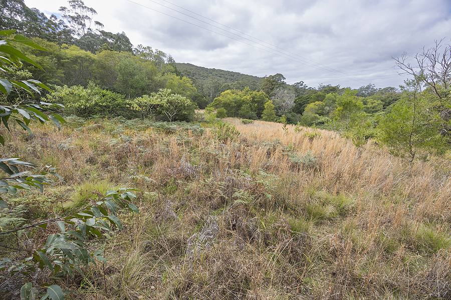 242 Curreeki Creek Road, Coolongolook For Sale by Farmbuy.com - image 6