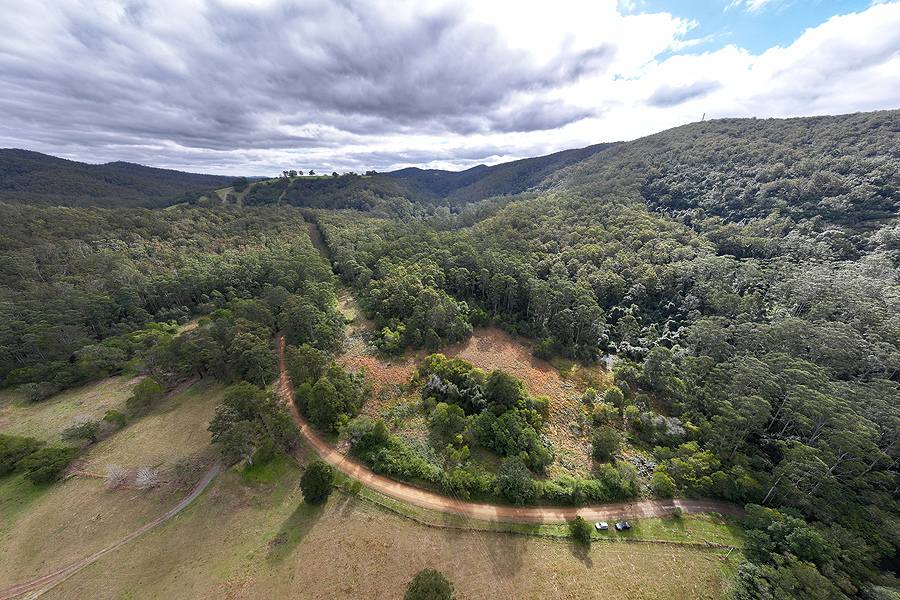 242 Curreeki Creek Road, Coolongolook For Sale by Farmbuy.com - image 3