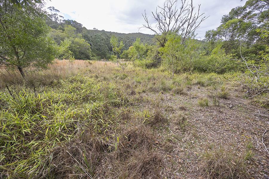 242 Curreeki Creek Road, Coolongolook For Sale by Farmbuy.com - image 5