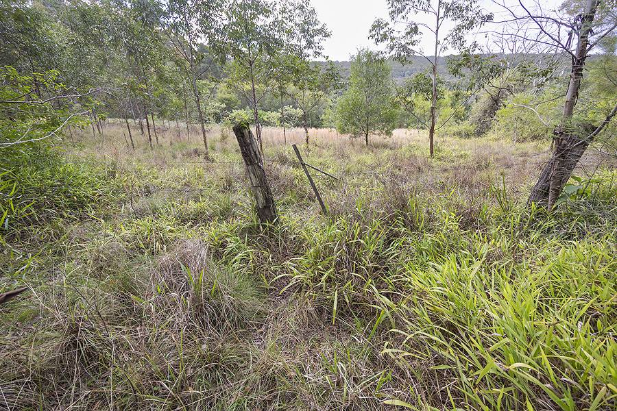 242 Curreeki Creek Road, Coolongolook For Sale by Farmbuy.com - image 11
