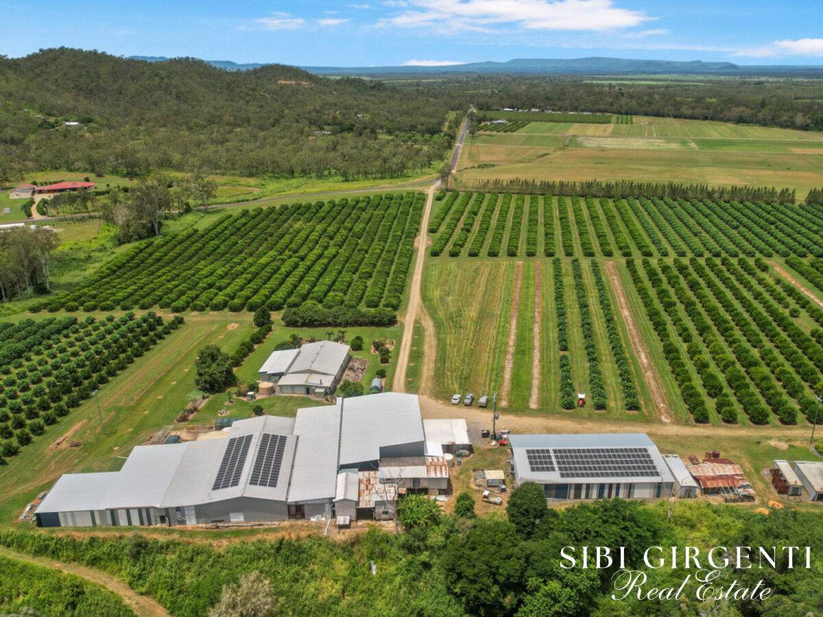 733 Bilwon Road, Biboohra For Sale by Farmbuy.com - image 3