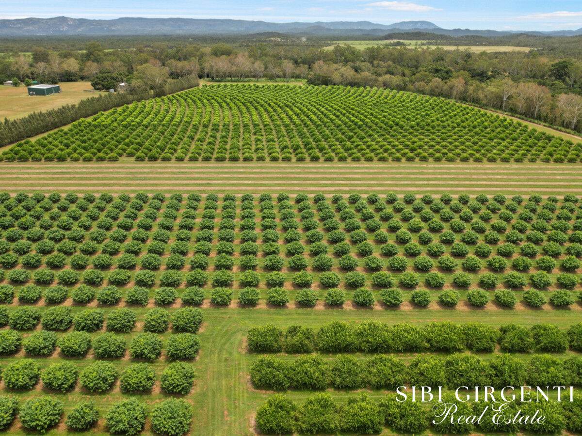 733 Bilwon Road, Biboohra For Sale by Farmbuy.com - image 7