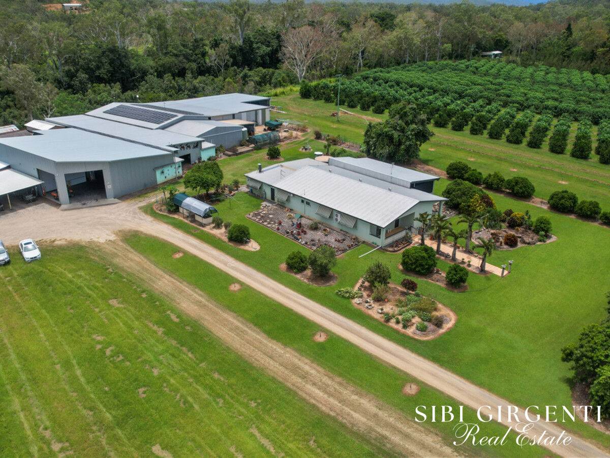 733 Bilwon Road, Biboohra For Sale by Farmbuy.com - image 2