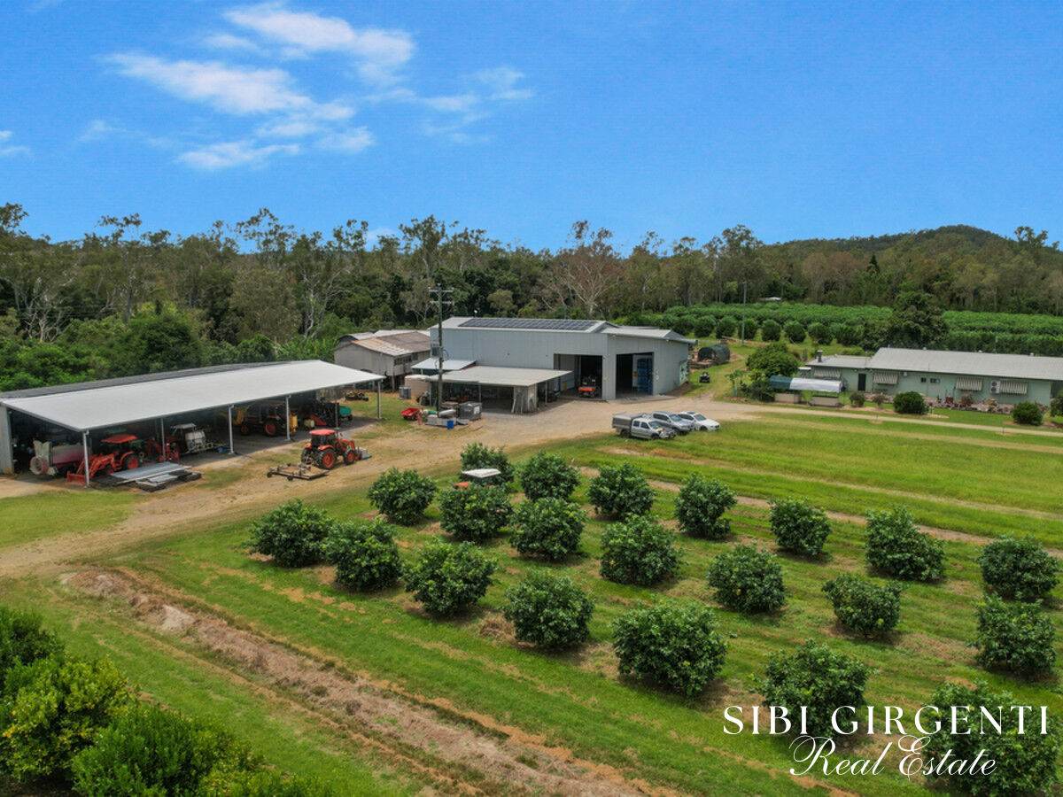 733 Bilwon Road, Biboohra For Sale by Farmbuy.com - image 4