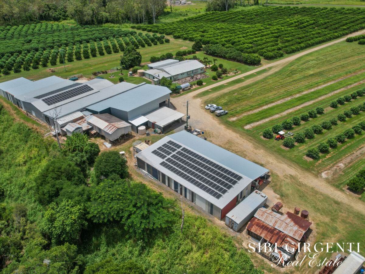 733 Bilwon Road, Biboohra For Sale by Farmbuy.com - image 9