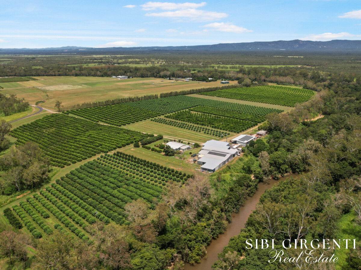 733 Bilwon Road, Biboohra For Sale by Farmbuy.com - image 10