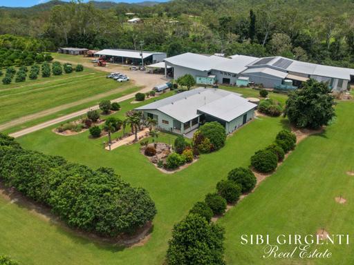 Farm For Sale - QLD - Biboohra - 4880 - A Rare Blend of Horticultural Excellence and Country Living 