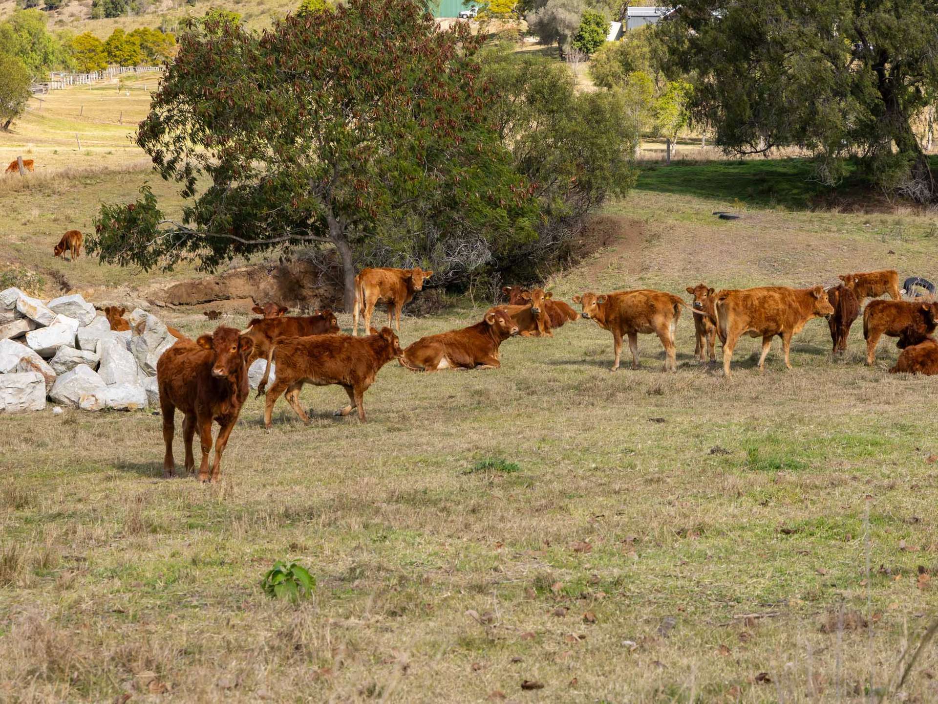 465 & 500 Blanchview Road, Blanchview For Sale by Farmbuy.com - image 33