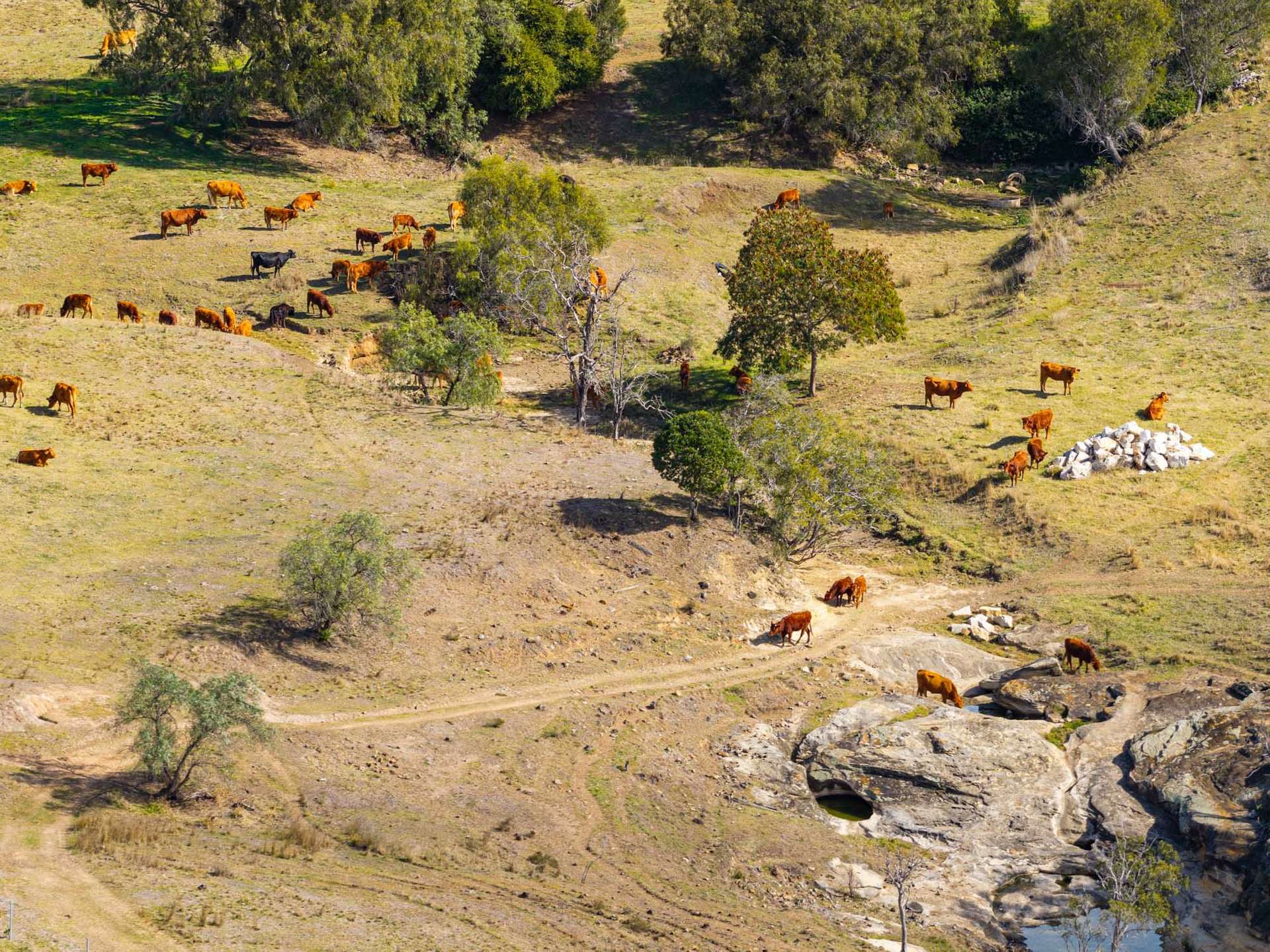 465 & 500 Blanchview Road, Blanchview For Sale by Farmbuy.com - image 31