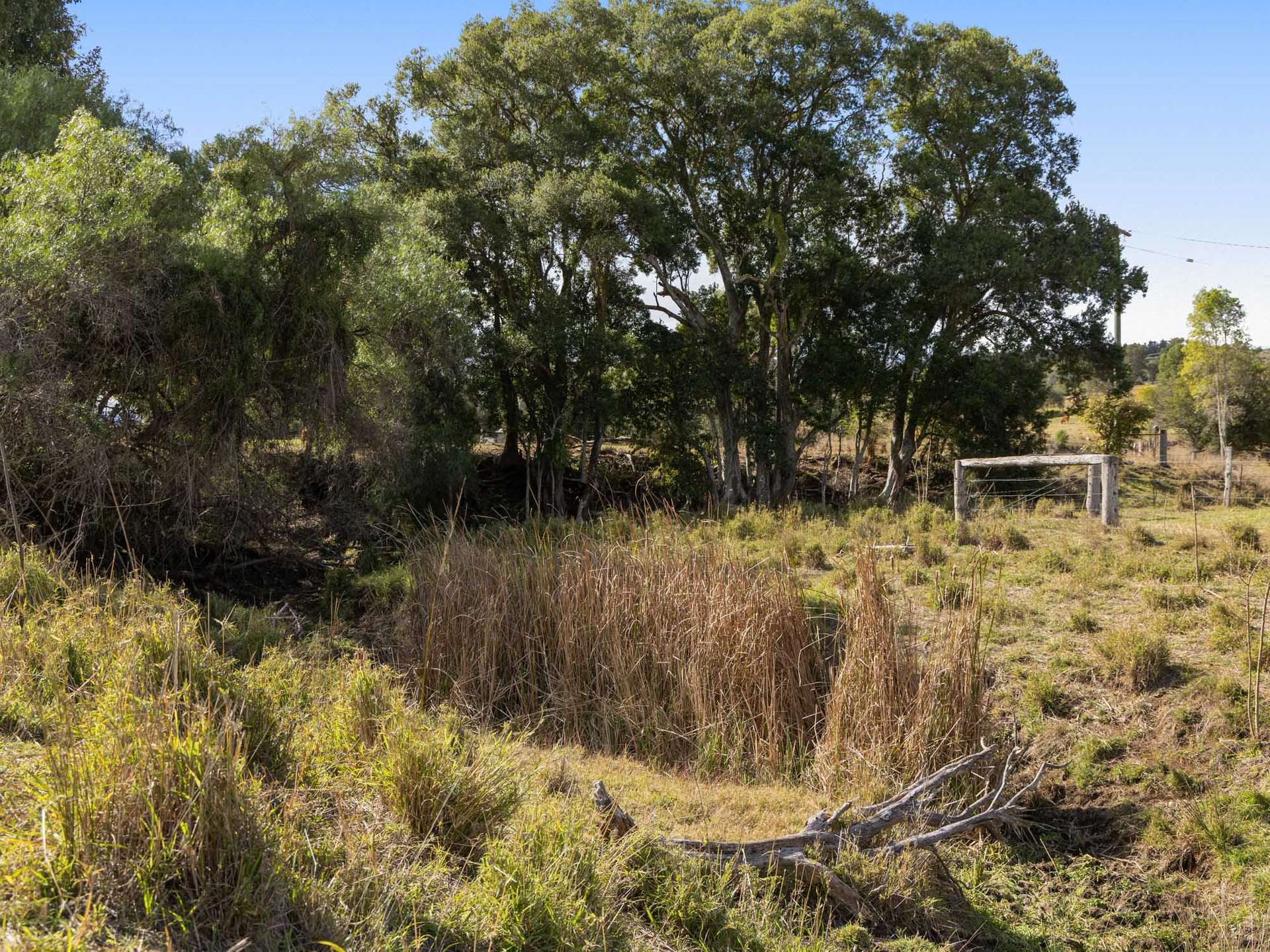 465 & 500 Blanchview Road, Blanchview For Sale by Farmbuy.com - image 23