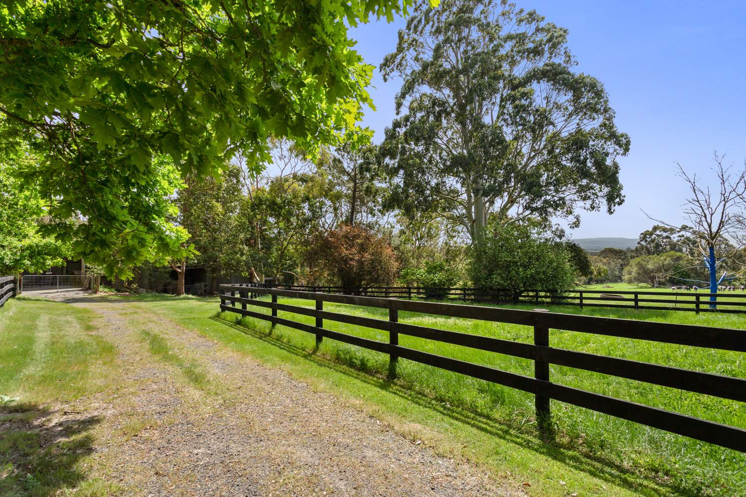 345 Mt Lyall Road, Nyora For Sale by Farmbuy.com - image 23