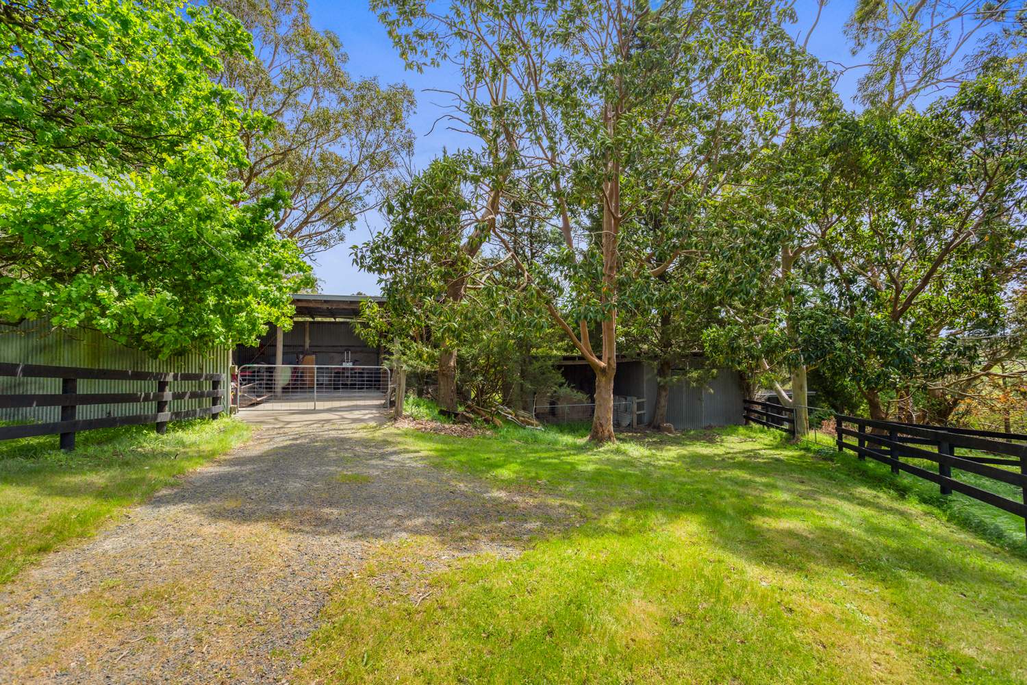 345 Mt Lyall Road, Nyora For Sale by Farmbuy.com - image 24