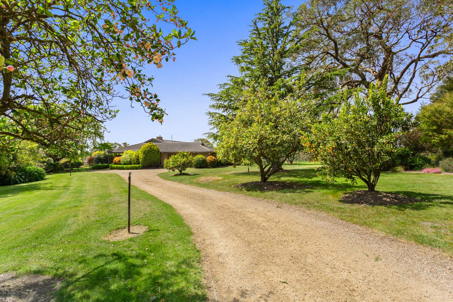 345 Mt Lyall Road, Nyora For Sale by Farmbuy.com - image 21