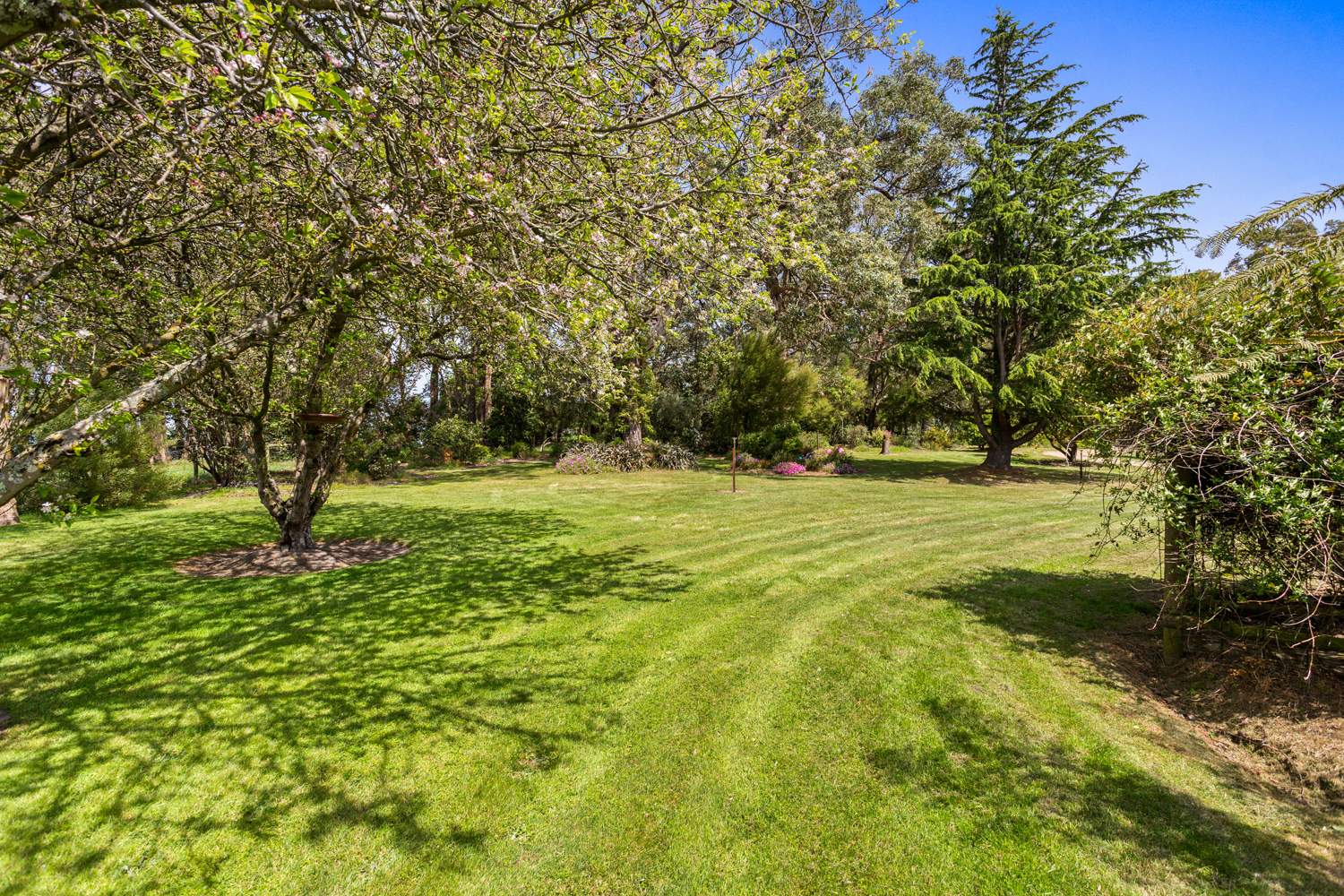 345 Mt Lyall Road, Nyora For Sale by Farmbuy.com - image 19
