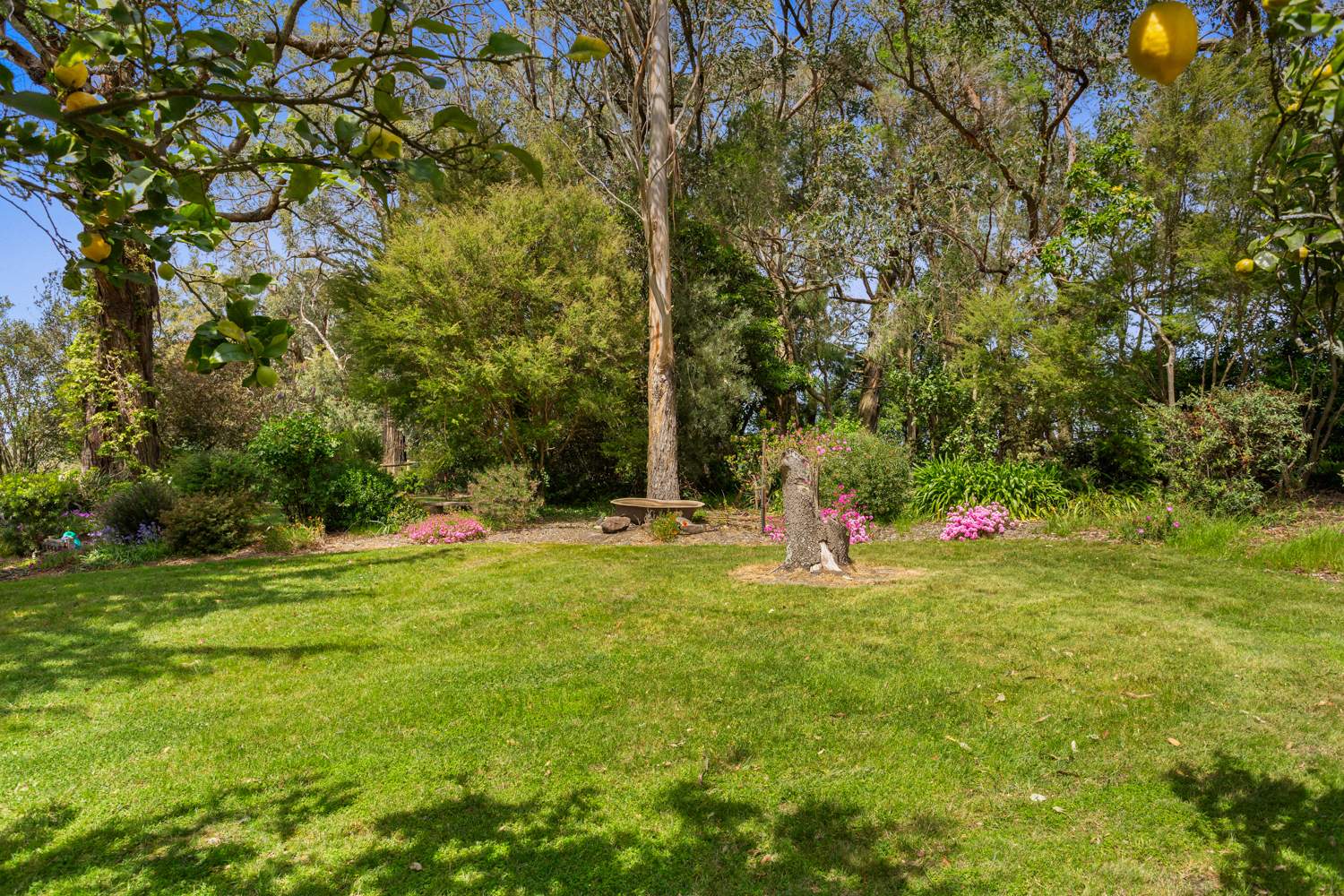 345 Mt Lyall Road, Nyora For Sale by Farmbuy.com - image 22