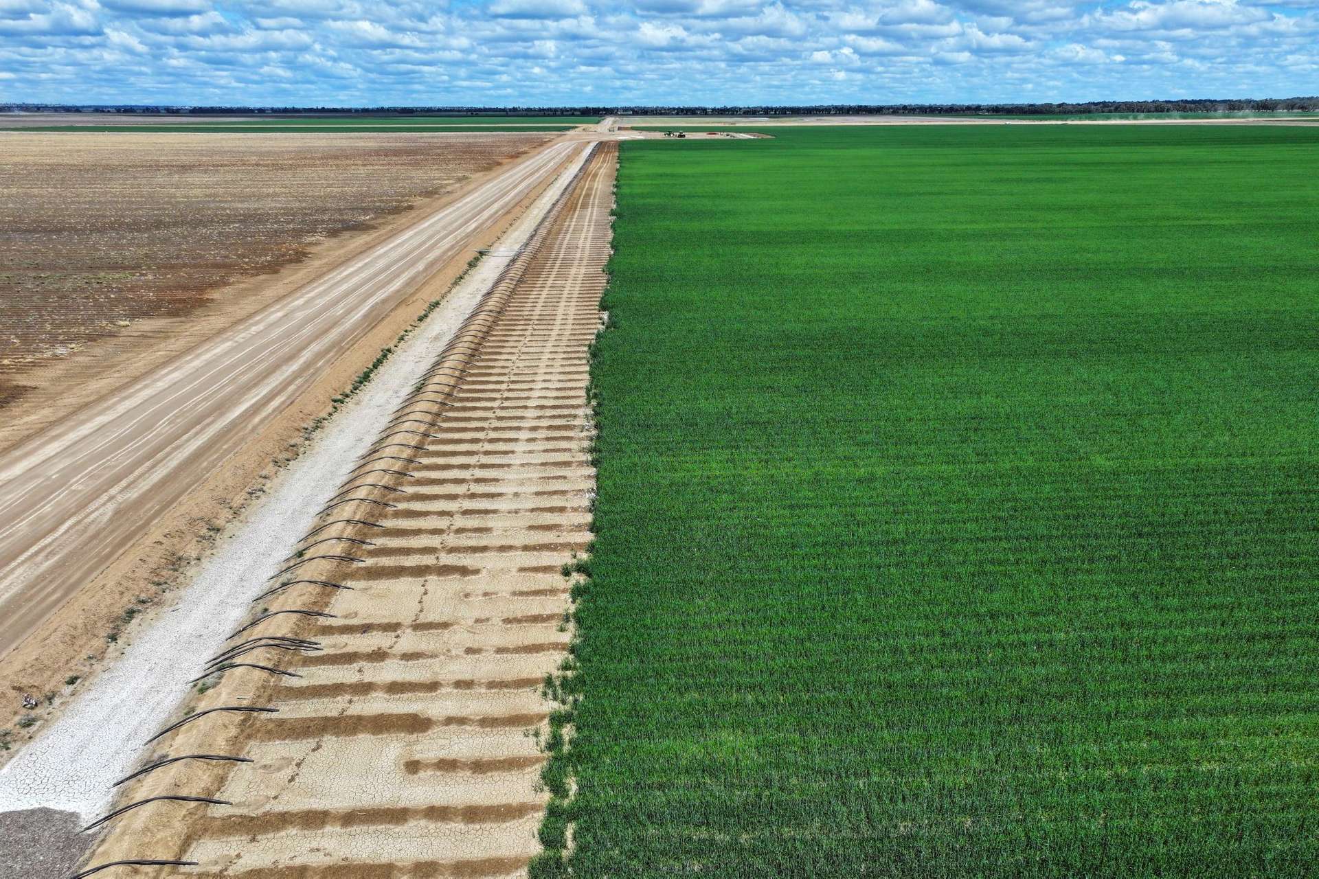 10474 Sturt Highway, Narrandera For Sale by Farmbuy.com - image 7