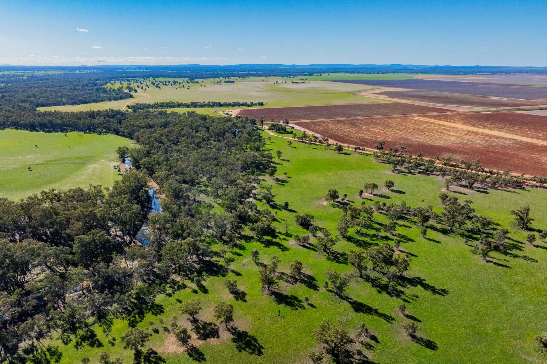 10474 Sturt Highway, Narrandera For Sale by Farmbuy.com - image 8