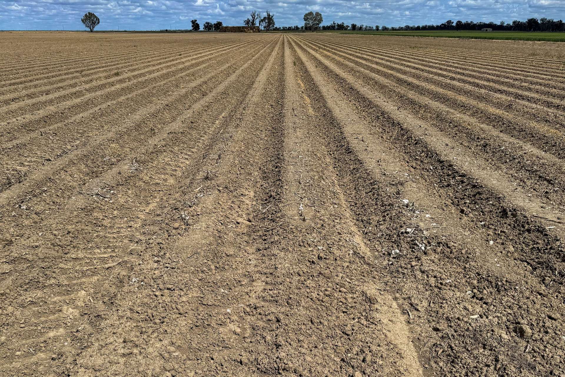 10474 Sturt Highway, Narrandera For Sale by Farmbuy.com - image 6