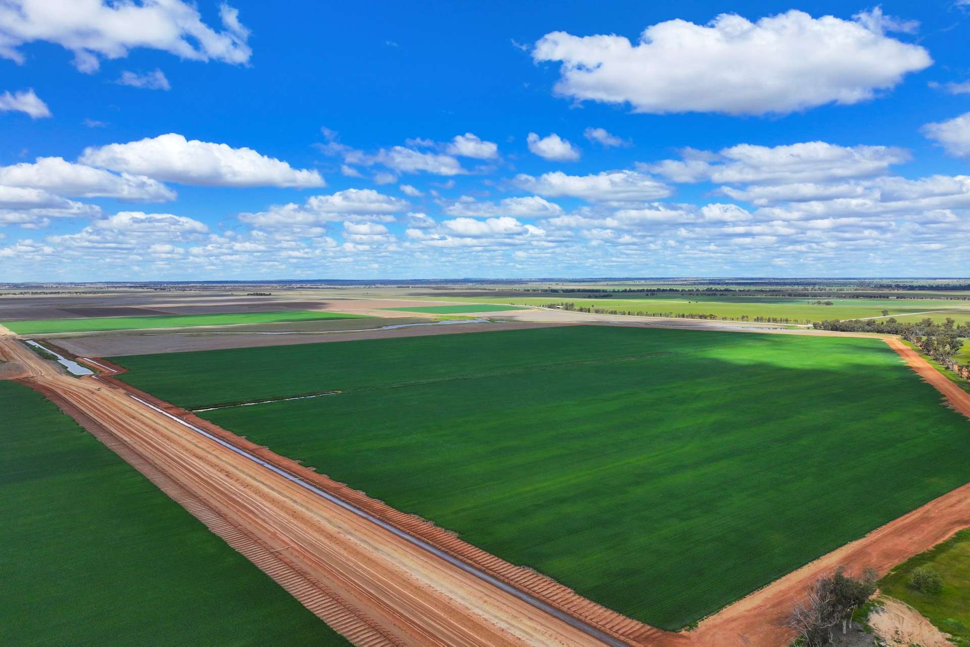 10474 Sturt Highway, Narrandera For Sale by Farmbuy.com - image 3