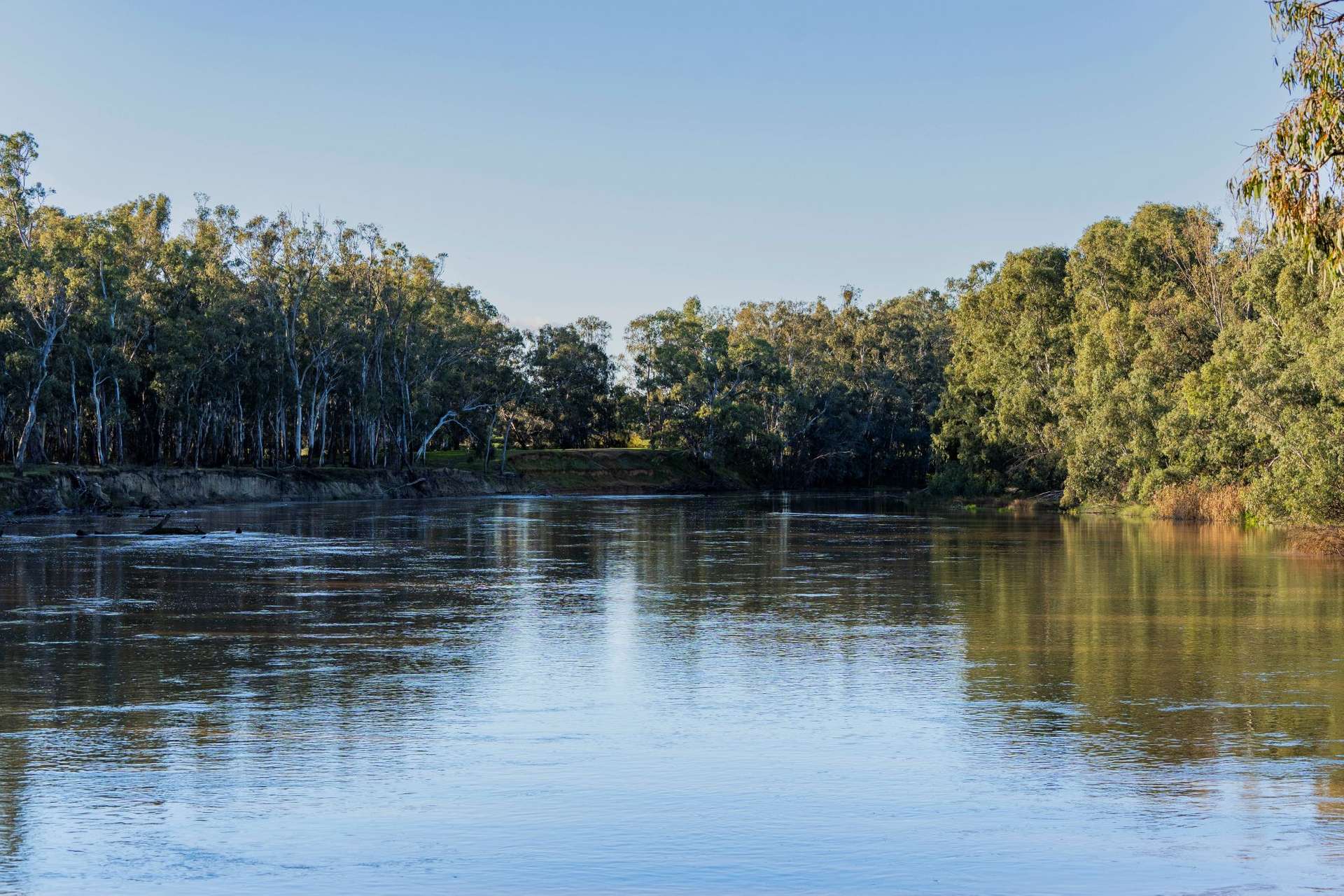 10474 Sturt Highway, Narrandera For Sale by Farmbuy.com - image 2