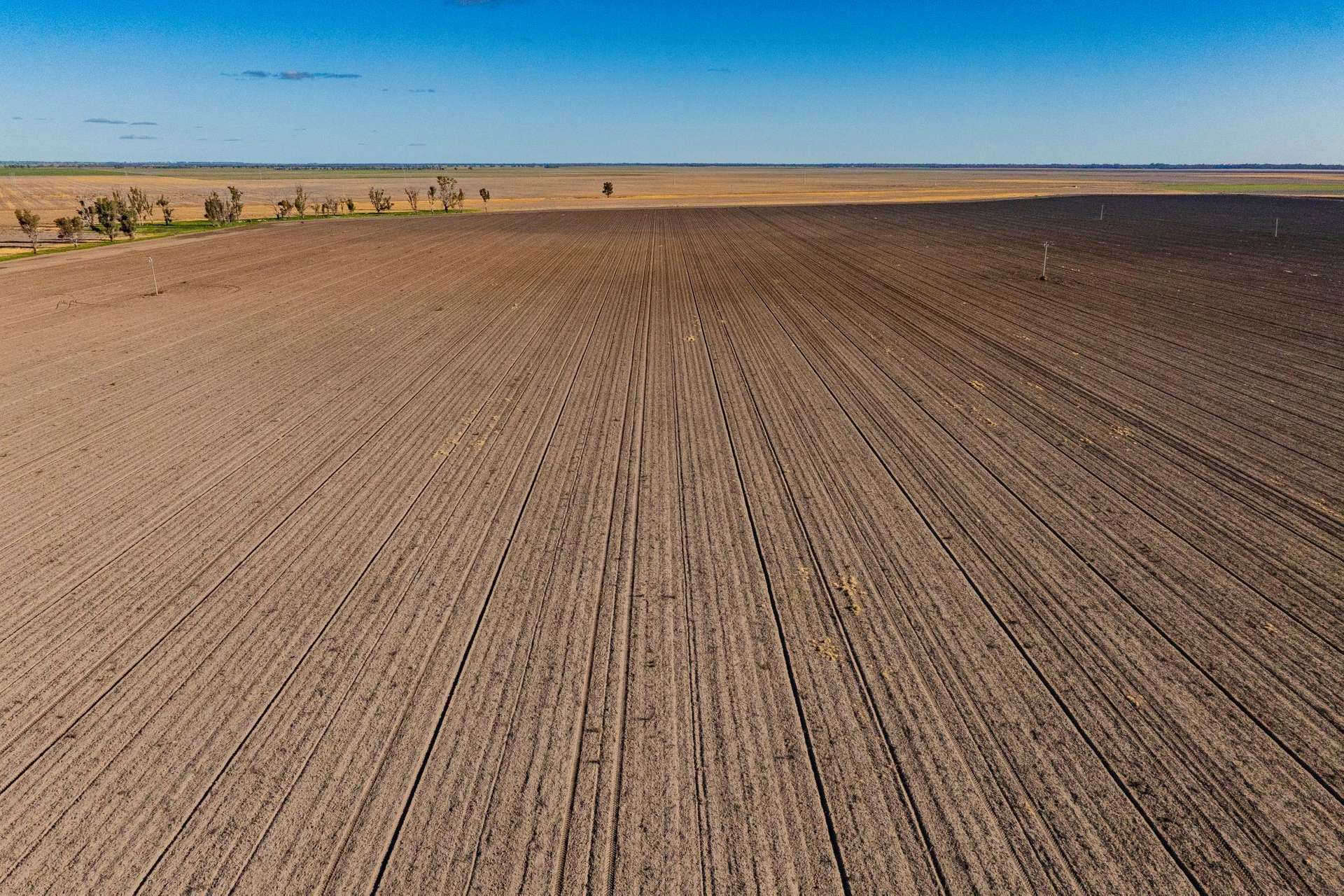 10474 Sturt Highway, Narrandera For Sale by Farmbuy.com - image 14