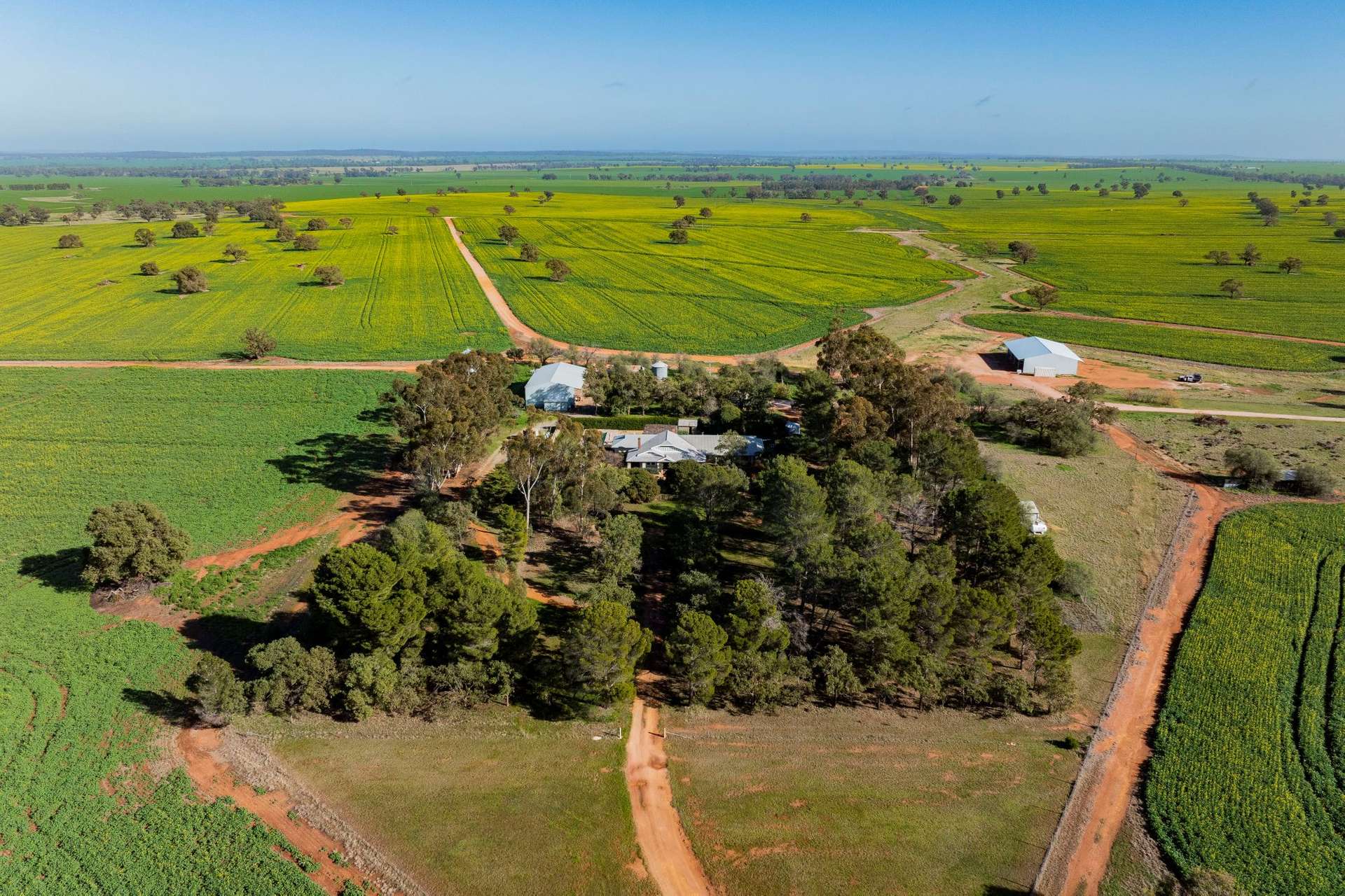 Barmedman For Sale by Farmbuy.com - image 14